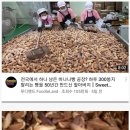 첫번째빵공장