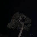 금서보건지소 이미지