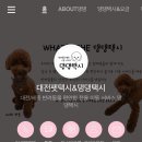 대전 댕댕택시 네이버블로그