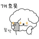바비독 이미지