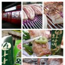원조가보리살 Daum카페