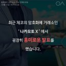 크립토마토 이미지