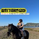 성산읍 고성리 352-4 | 제주 아기랑 승마 체험, 36개월 미만 아기랑 가능? 실제 체험 후기