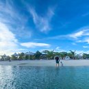 레아네팜 이미지