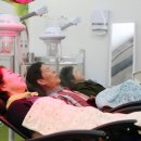 약초와 한방 이미지