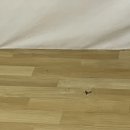 더쎈패러글라이딩 이미지