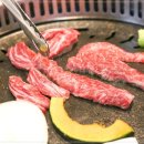 도화담 이미지