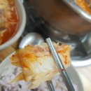 대가생태랑동태랑 이미지