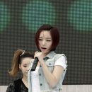 너구리 유격대 Daum카페