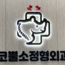 코뿔소정형외과의원 이미지