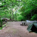 지리산 덕산목욕탕 | 지리산 소막골 캠핑장 리얼 체험 후기~^^