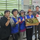 송정동-4 이미지