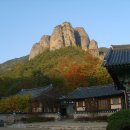 센츄얼