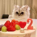 블리 블리 이미지