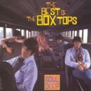 연은BOX