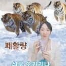 초보 오카리나 이미지