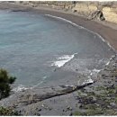 송악산 숲길 이미지