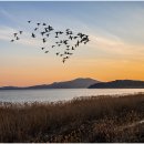 금강노을 이미지