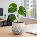 모던레시피 이미지