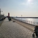 옥귀도수산 | 강아지와 함께하는 오이도 여행 빨간등대 간식거리 수산물 직매장