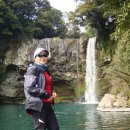 천지연 폭포 이미지