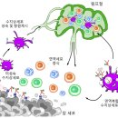 TOP 환경개발 이미지
