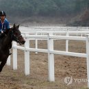 ㈜서진산업개발 이미지