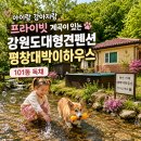 아이랑 강아지랑 프라이빗 계곡이 있는 강원도대형견펜션 평창대박이하우스 101동 독채