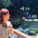 하나항공여행사주 이미지