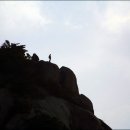 산에사네 이미지