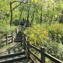 자연생태공원 부천식물원 이미지