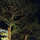 봉래헌(蓬萊軒) 이미지