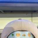 지민81 | 너무나도 무리하시는 구장 ; 수원 KT위즈파크 직관 후기 / 20250829, 20250830 : 416구역 5열 시야...