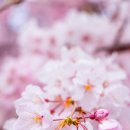 유보라어린이집 이미지