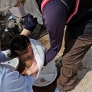 고운나래 | 제주 아기해녀스냅 나래스냅 13개월 아기 내돈내산 촬영후기