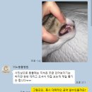 이노동물병원 이미지
