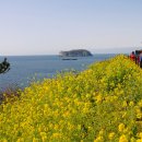 제주 올레길 7코스 이미지