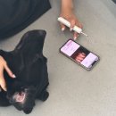 A+(알파 플러스) 펫라운지 이미지