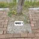 재매정길 네이버블로그
