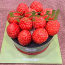 선경카 | 투썸 두초생 맛 후기 현장구매 신메뉴 두아박 출시 일정가격