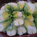 김창기머쉬룸팜 이미지