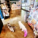 풍경호스텔 이미지