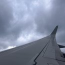 봄날처럼민박 | 눈과 함께한 1월의 제주도여행, 서귀포 편.