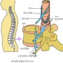 연세새롬의원 이미지