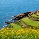 남해-183 이미지