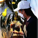 디자인모에 이미지