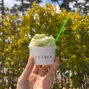 티지소프트 | 강릉 순두부젤라또 1호점 웨이팅 내돈내산 솔직후기