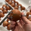 양촌농원 1농장 이미지