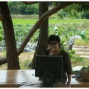 비봉농장 이미지