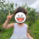 청송대표식품 이미지